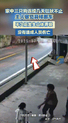 彻底解释不清了！四川乐山，一男子家里养的3条狗，连续几天一直狂吠，起初男子并不在