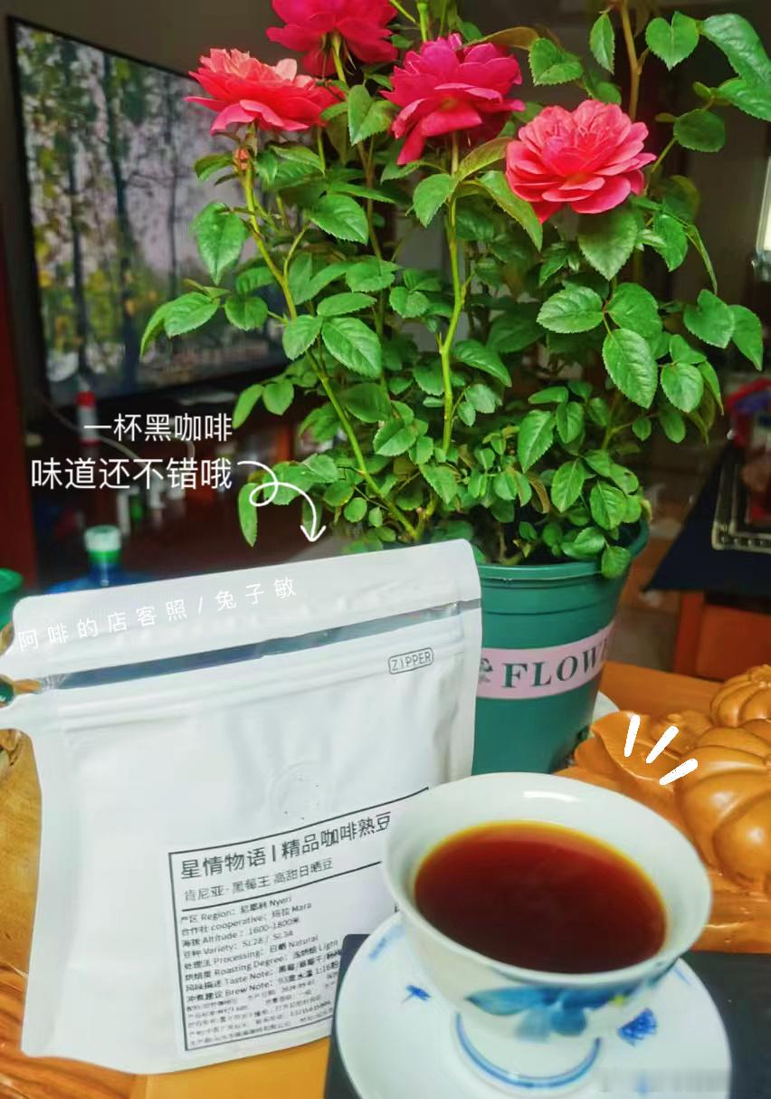 工作不必太用力，生活要用心！推荐一些可以带来力量且让人学会自洽的书吧#星情物语#