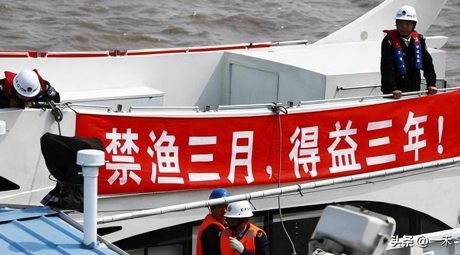 今天起，浙江全面禁渔！最高罚200万，爱吃鱼、爱钓鱼的注意了
 
浙江的朋友们注