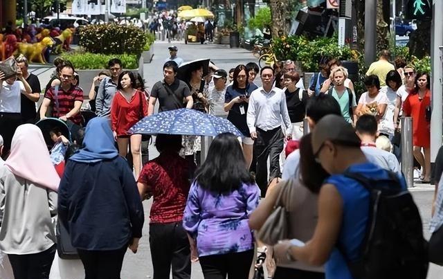 一位新加坡华人终于说了实话，他表示，在新加坡的华人，根本不在乎中国到底好不好，很