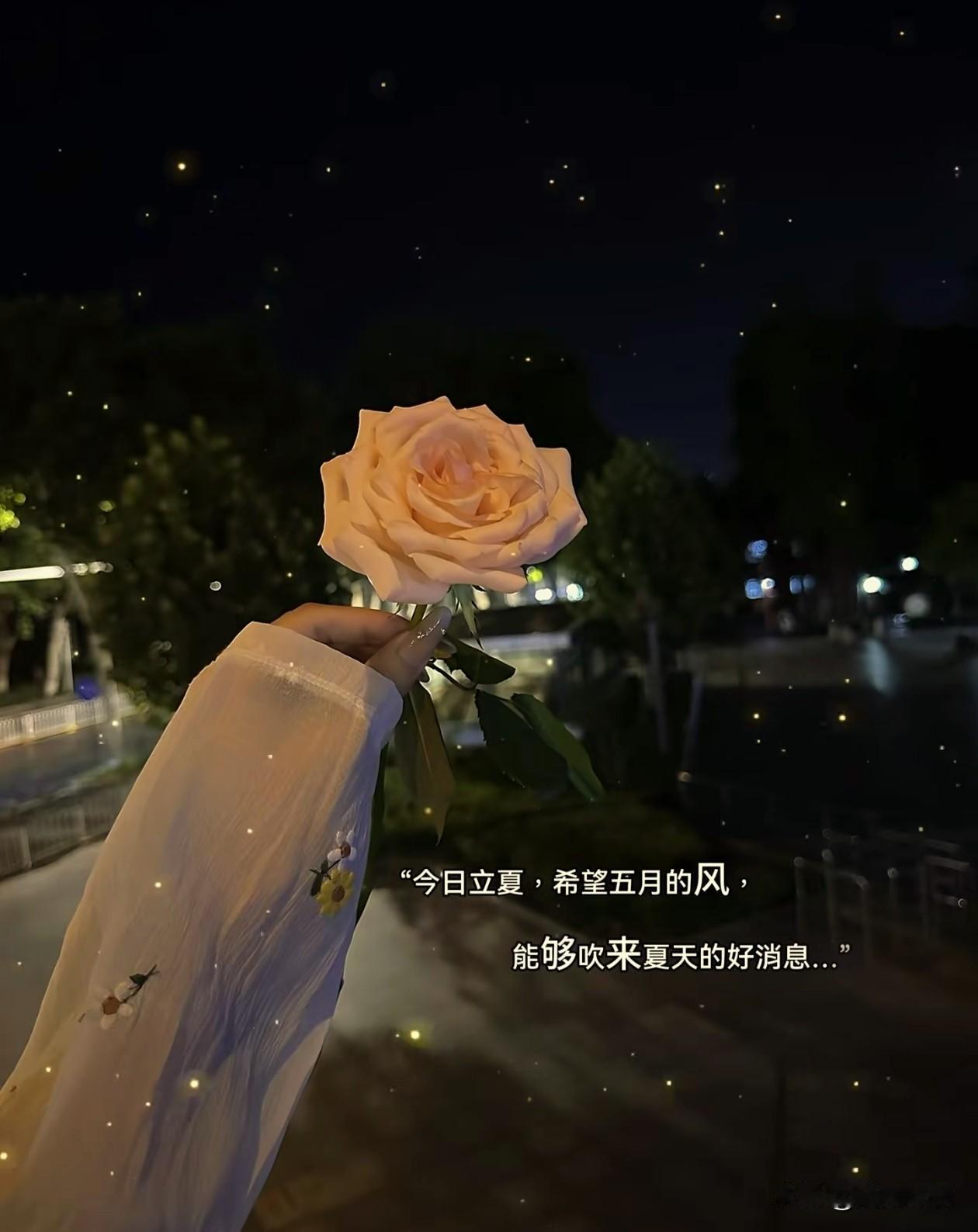 🌸˚⊹ ✧じòve ゛～

    今日立夏，希望五月的风，
        