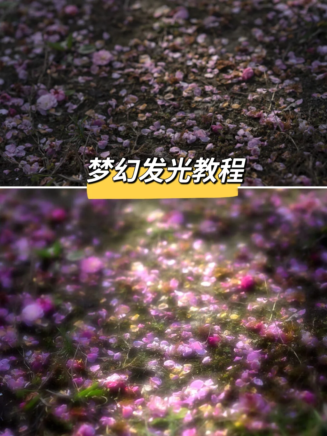 40w人求的梦幻发光教程来啦❗️（图文版）