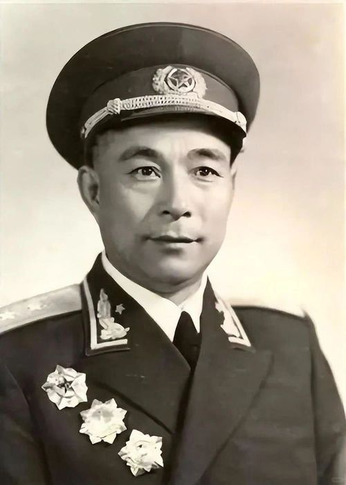 原南京军区顾问：刘飞将军