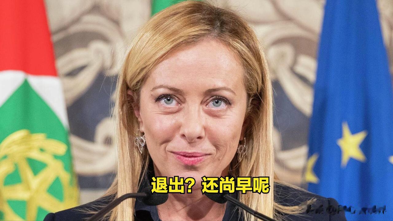美国和一些西方国家又开始瞎操心我们跟意大利的“一带一路”协议。我就不明白了，签合