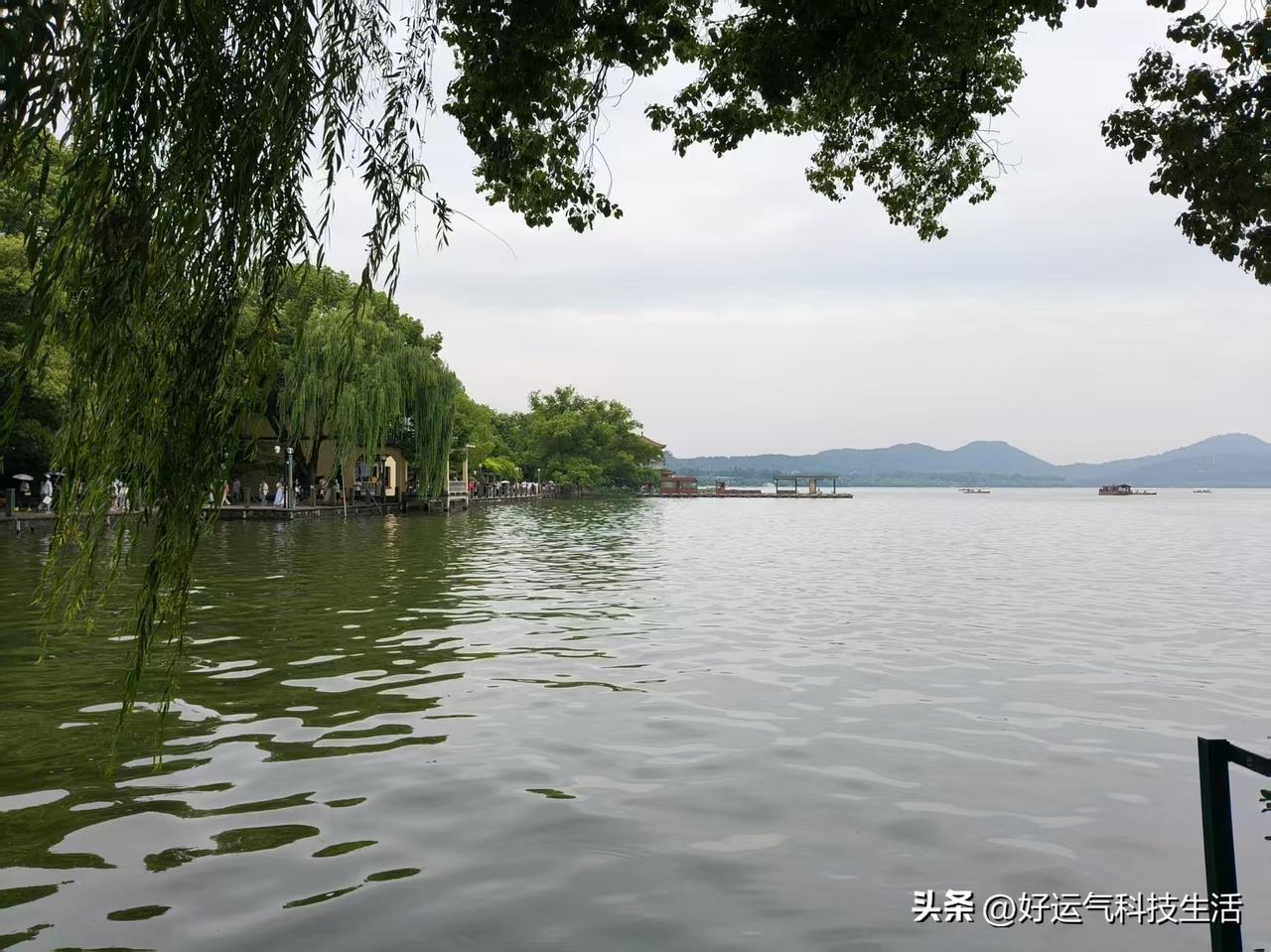 青岛高考成绩出炉，家里老伴直接变身志愿填报达人，天天忙得脚不沾地。
 
先是城阳