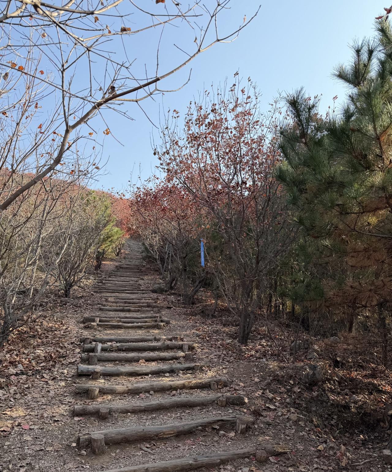 不必执着于远方名山，家附近的小山包就足够。起初迈步时，肌肉酸痛得想放弃，呼吸沉重