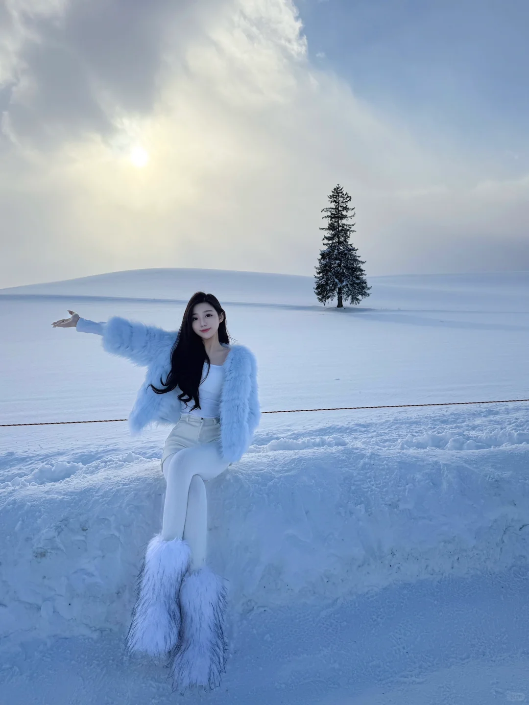 北海道❄️孤独的圣诞树🌲