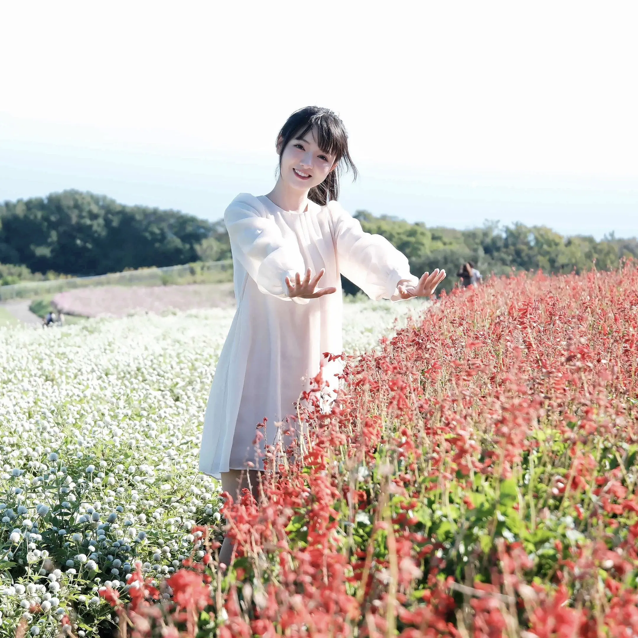 待到春花烂漫时。