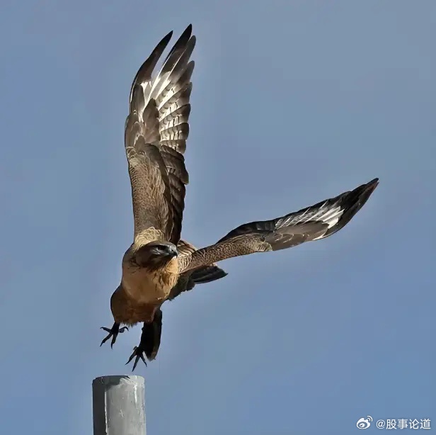 银行、保险板块所有股票全部下跌大A这跷跷板效应太鲜明了当科技股今日反弹时七月份表