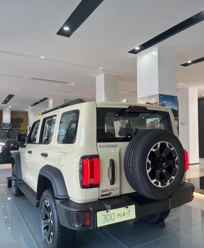 老公都说好几次了，“跟我家车位隔的不远那辆坦克300是女的一直在开。”

不知他