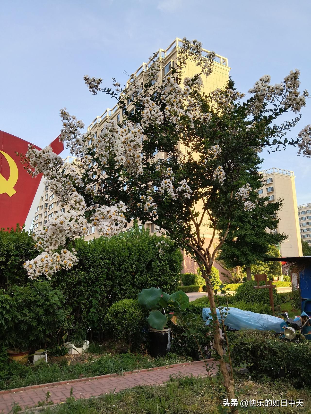 无法解释的玄学，你细品：

1. 厨房，不要放扫把。

2. 头发里藏着财气，晚
