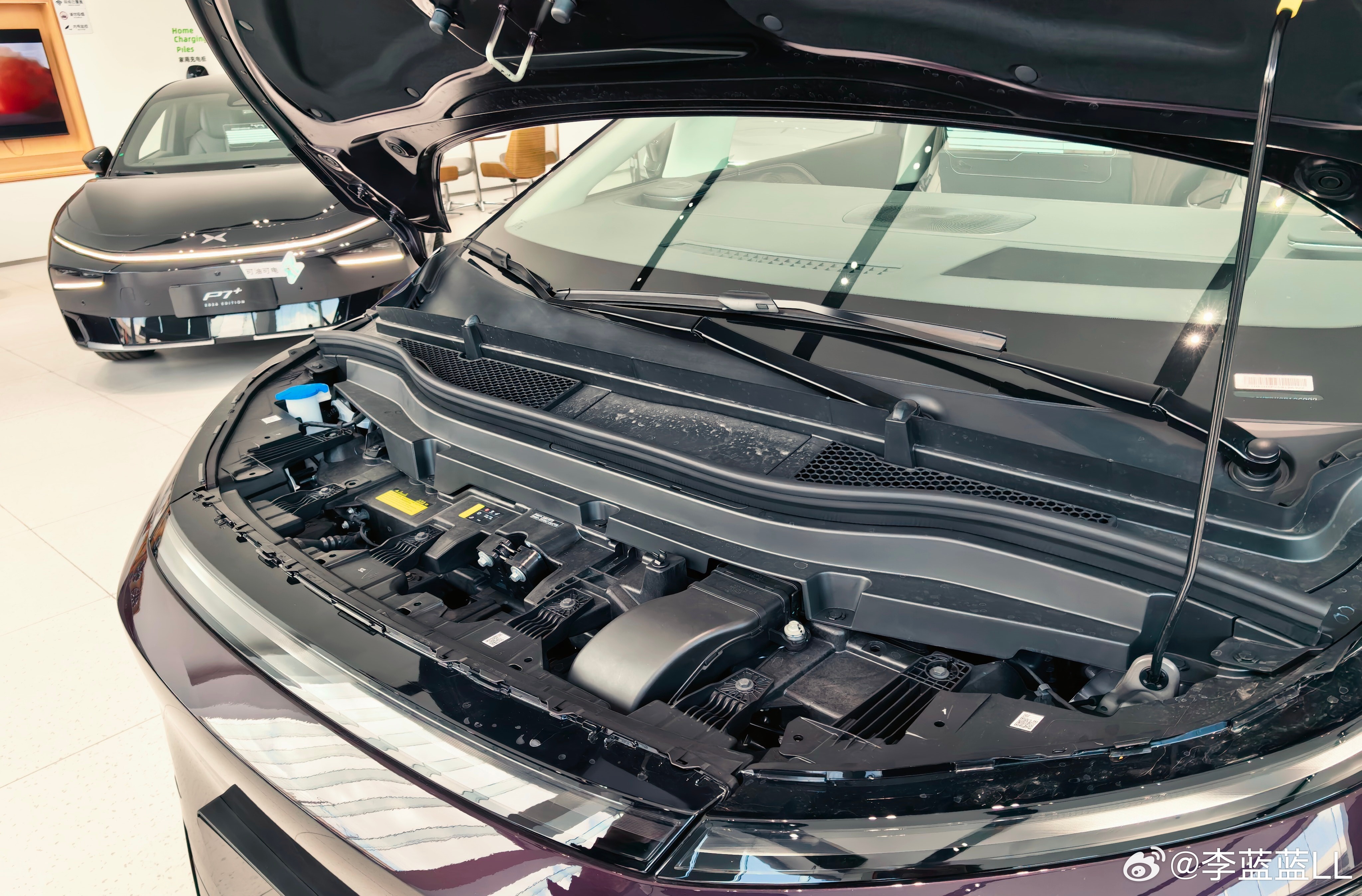 我看有人讨论小鹏X9的机盖撑杆是手动的，对30万的车来说是不是不太好？其实我倒觉