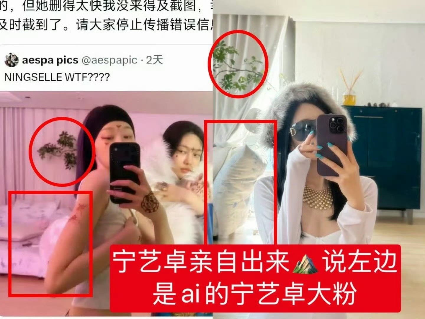 2778次宠粉宁艺卓
