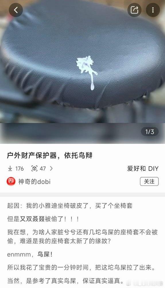 我需要 