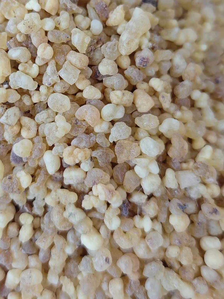 今日亳州中药材市场部分药材价格:猪苓155元/kg，黄芪35元/kg，巴戟110