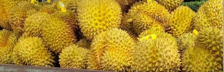 你喜欢吃榴莲吗？说真的我不喜欢吃榴莲，不爱那个臭味，现在的女生喜欢吃榴莲，就是网