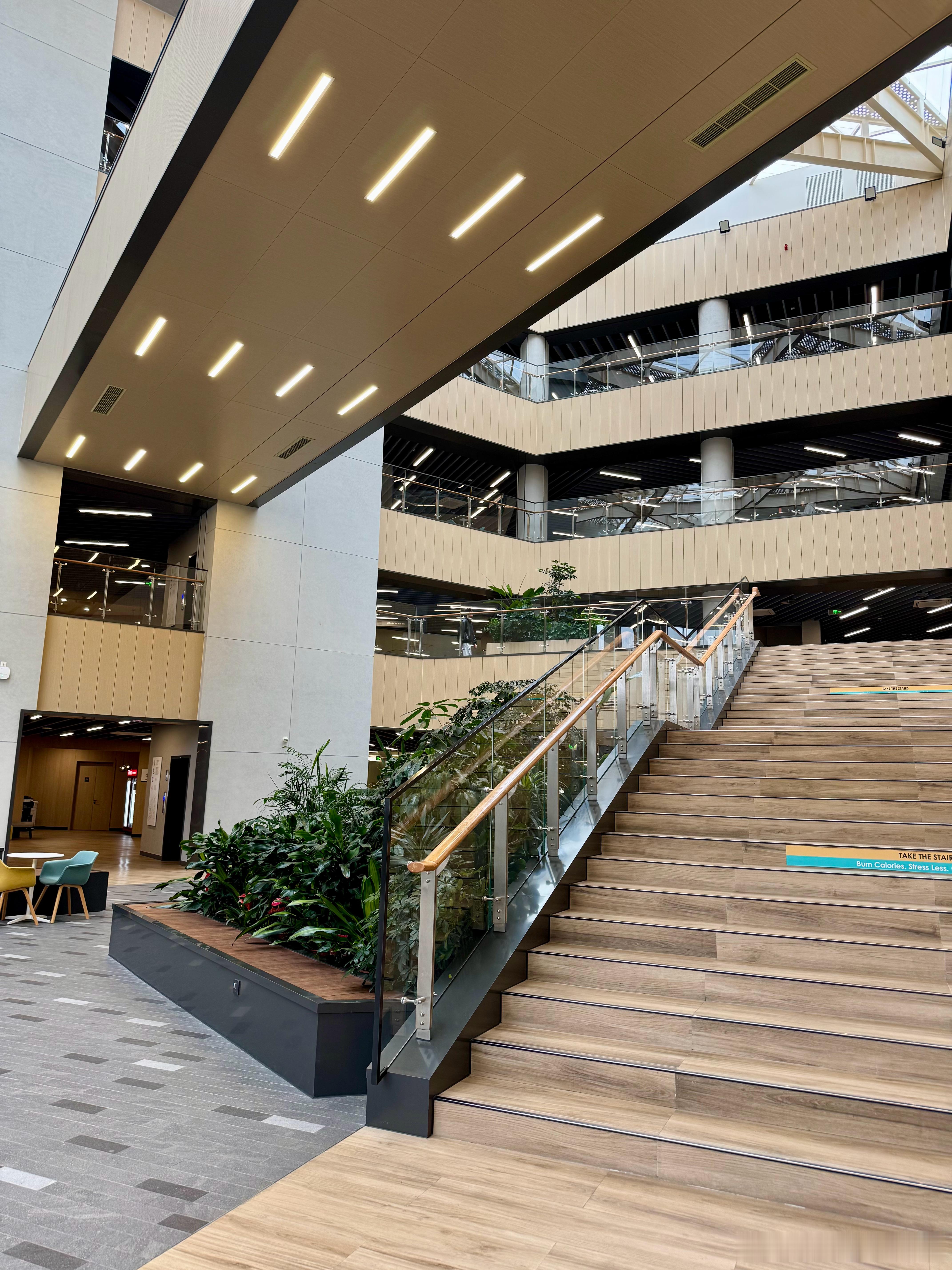 大学生们都放假了带我们家小学生来大学逛逛两个小学生现在在妈妈们的大学写作业，这种