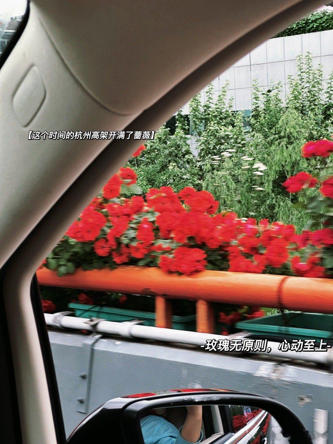 PLOG.95[微风][微风]盐盐的日常和小伙伴一行4人自驾3小时闪现杭州啦！说