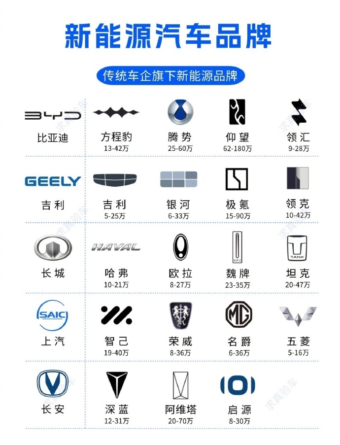 嘿，各位车友！我跟你们说，等你们瞅完这几张品牌分布图，就知道如今这新能源市场有多