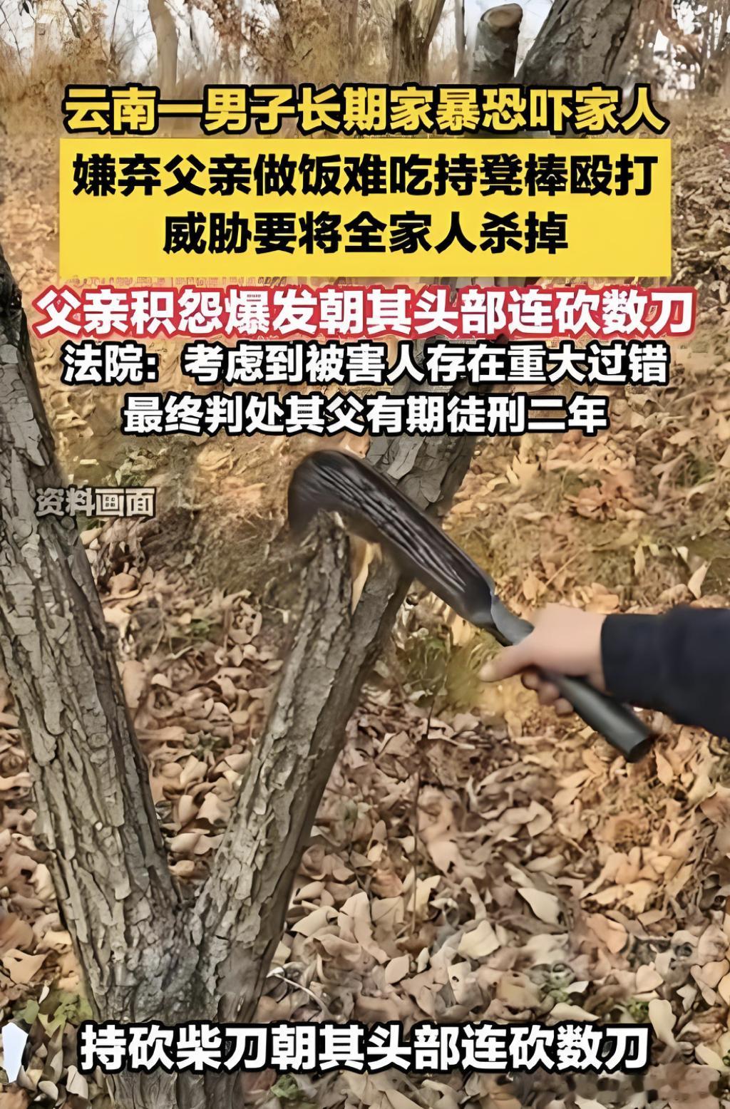 儿子嫌饭难吃扬言杀全家被父砍伤  近30岁的儿子嫌老爹做的饭难吃，扬言要杀全家，