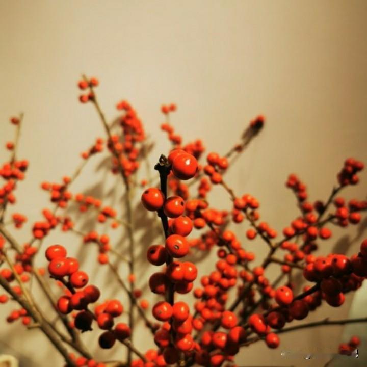 每天早上起来，我都要喝一杯温开水。之前，我买了一个电热水壶，用了还不到三个月，每