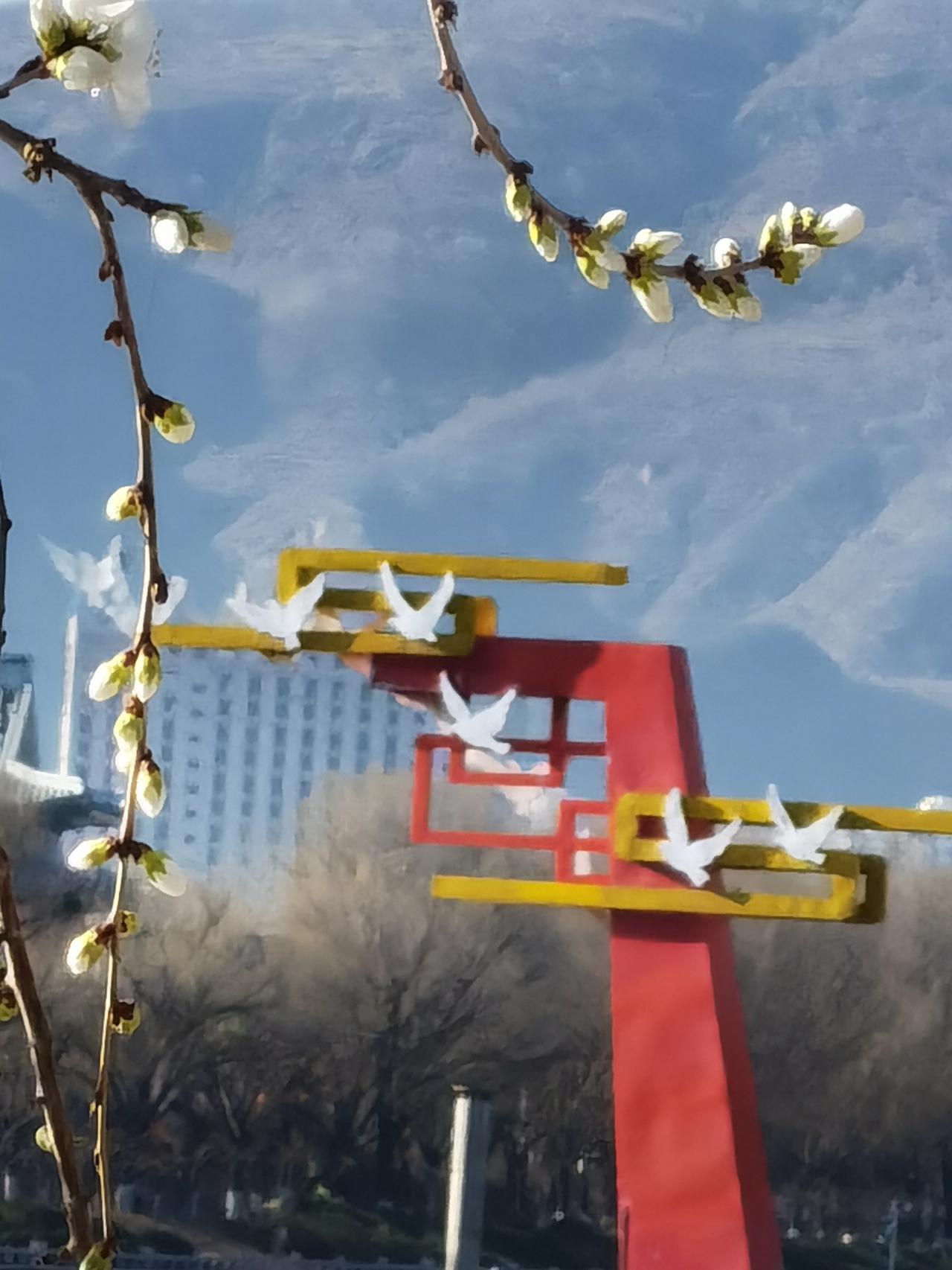 又到了承德武烈河两岸的春花浪漫时！