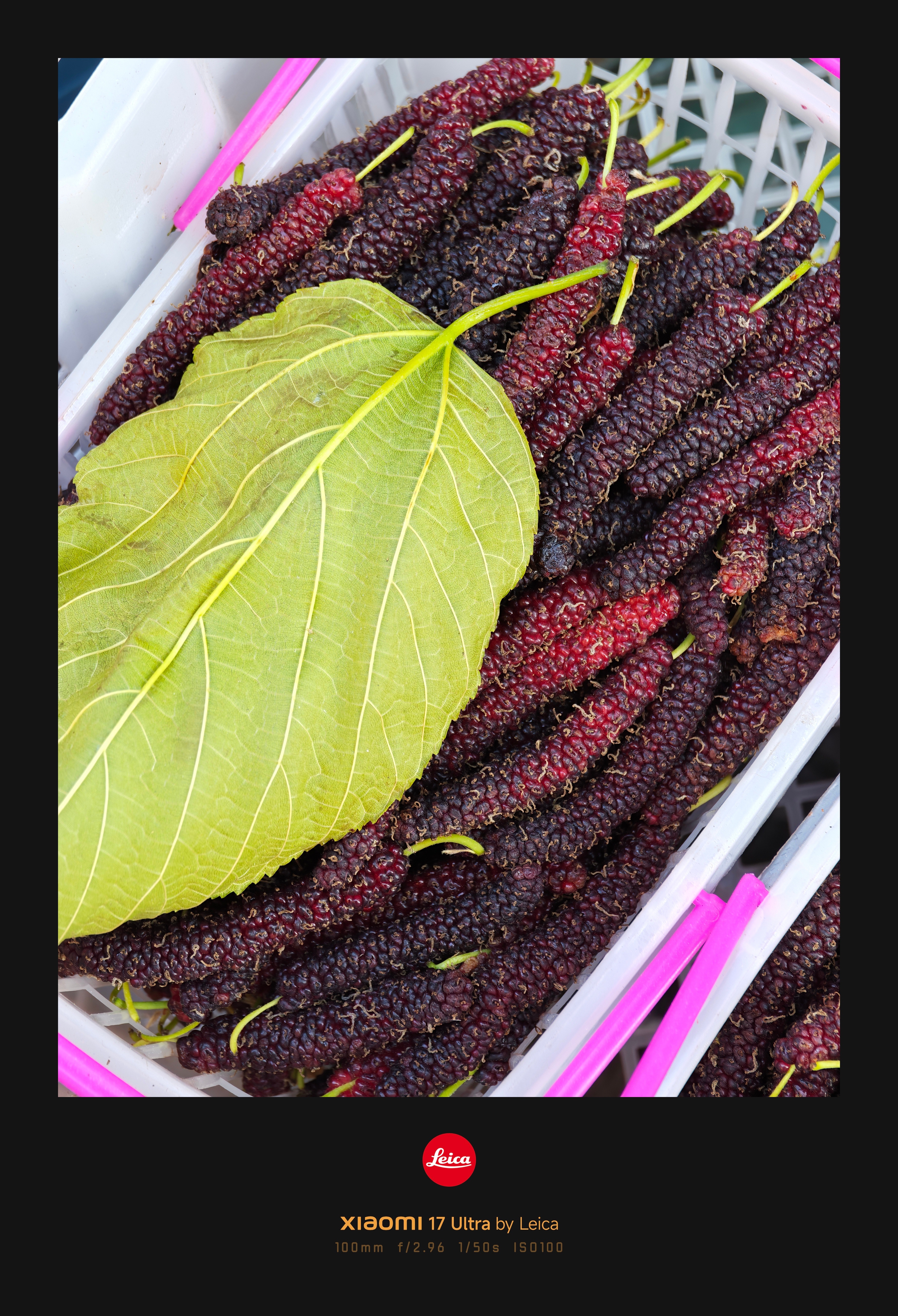 妈呀，桑葚都上市了过几天小樱桃也要上了，上周末去北京还是萧瑟的场景呢