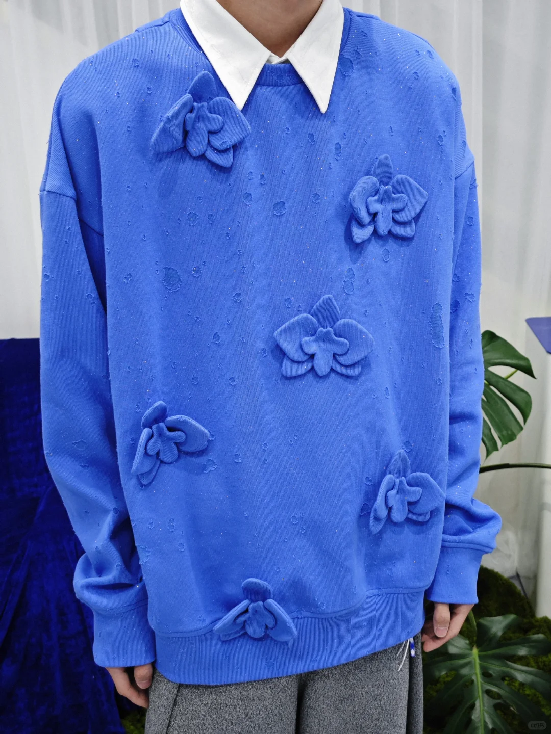 藍色蝴蝶蘭衛「wei」衣💙