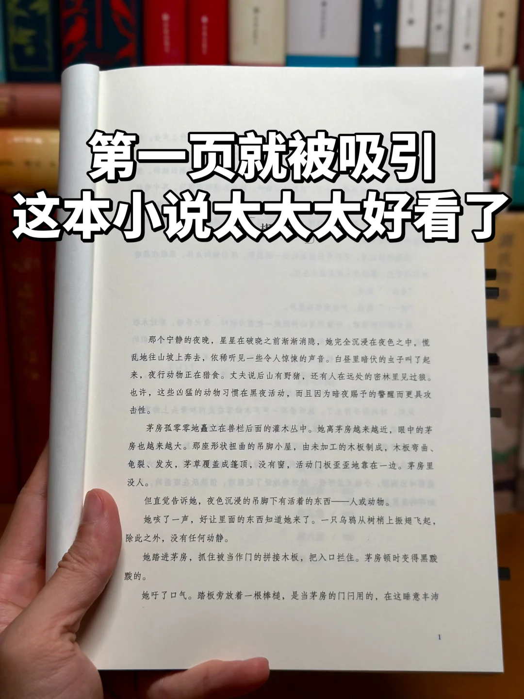 🈲️没有一个善良的人能平静地看完这本书！