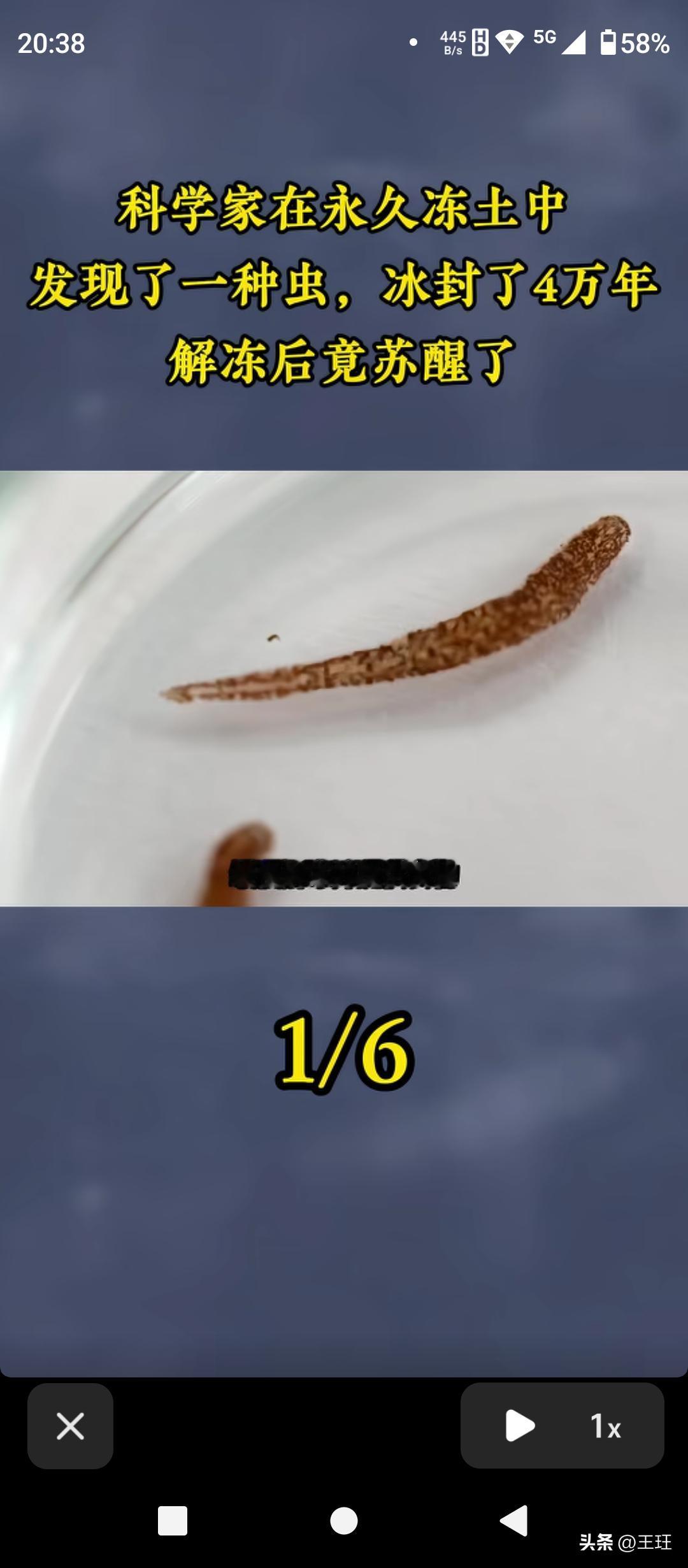冰封4万年竟能“起死回生”？这听起来像科幻电影的情节，如今却在现实中上演！近日，