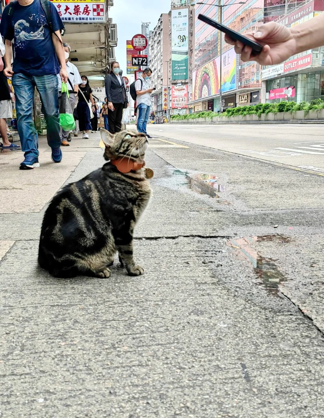 🇭🇰阻B，望鏡頭，笑😸😸