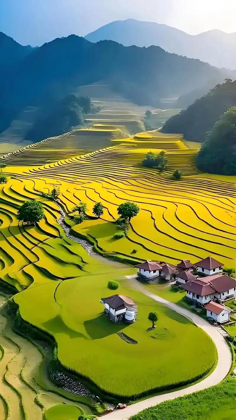 【问卷调查】中午在学校食堂吃饭，有个老师突然发火：菜怎么越来越难吃了！旁边开始议