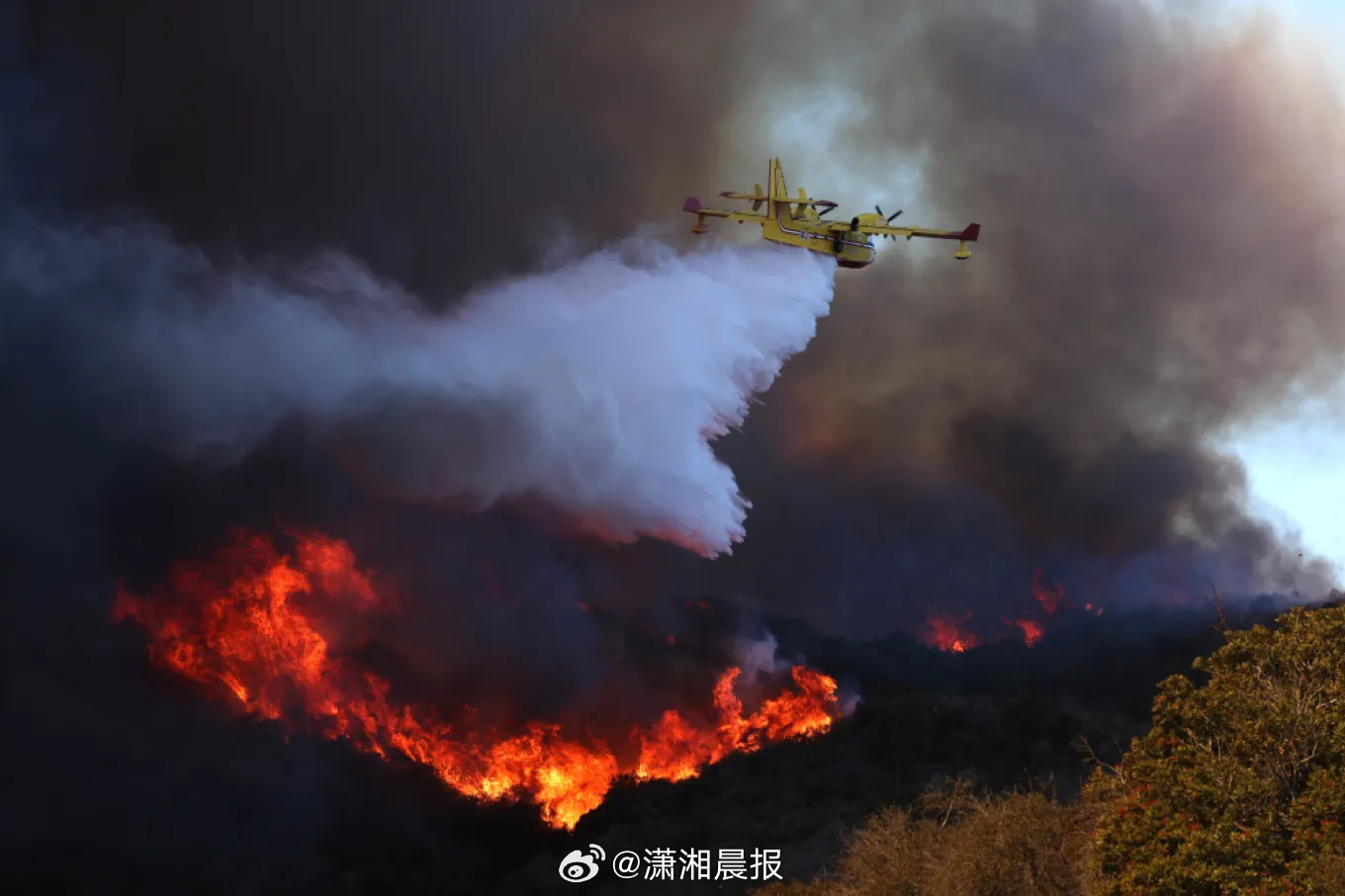 #加州部分森林为富豪私产致无法巡查#【[话筒]为什么美国解决不了山火？#美国林业