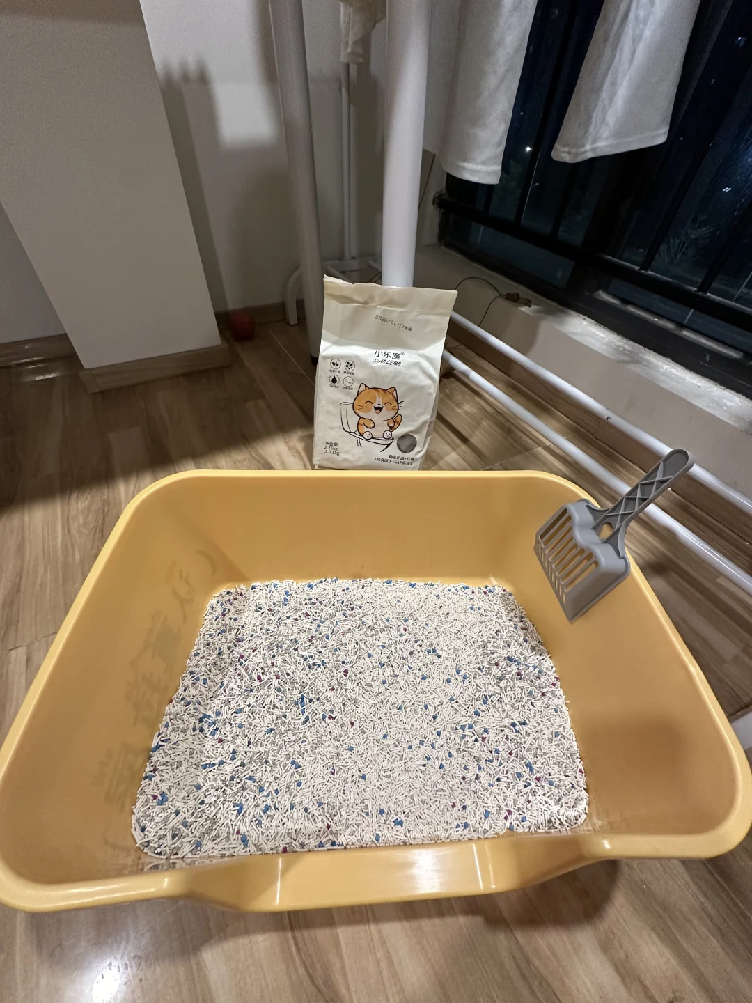 穷养小猫｜7.9r拿下猫砂盆➕铲