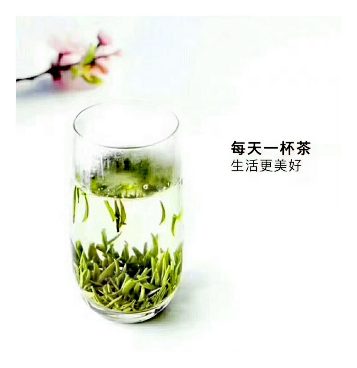 【茶人茶语】一片茶叶，一种文化，历经磨难，一次次死去，一次次重生。水的呼唤，帮助