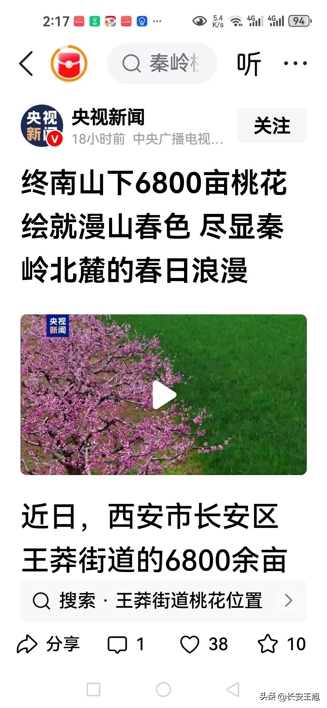 昨天央视播报了王莽清水头桃花盛景
