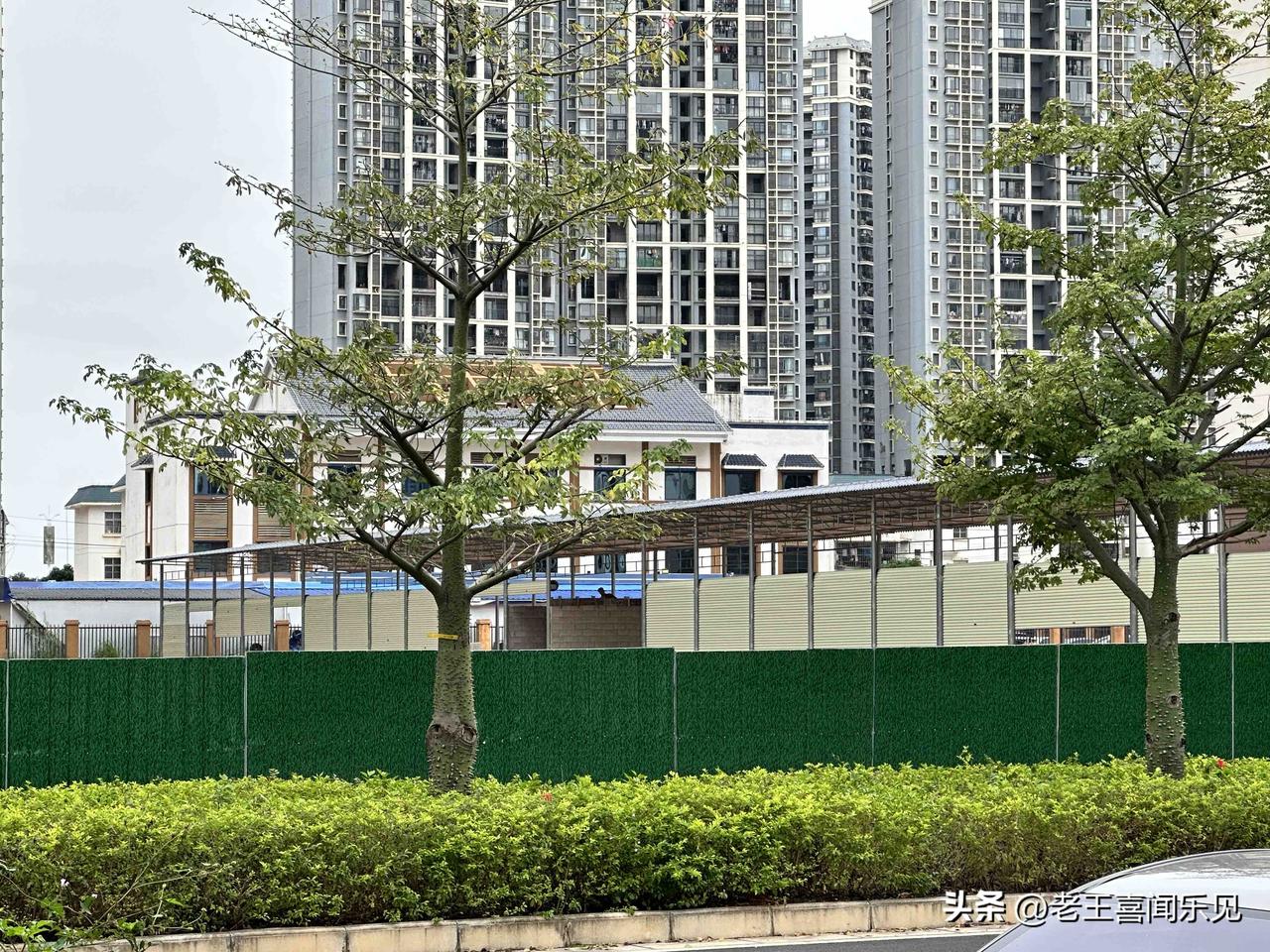 最近发现在南宁五象这边，只要小区附近有挺大的一片空地，铁棚商铺一溜烟地搭起来了，