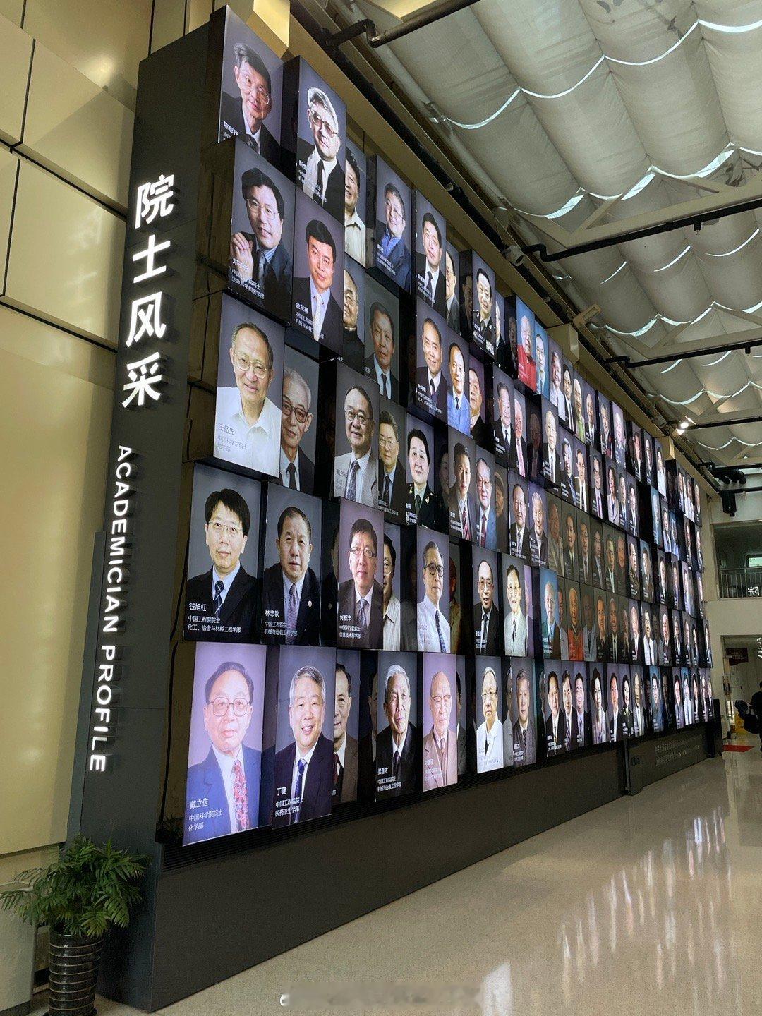 看，这满屏的人类满格智慧！  ​​​
