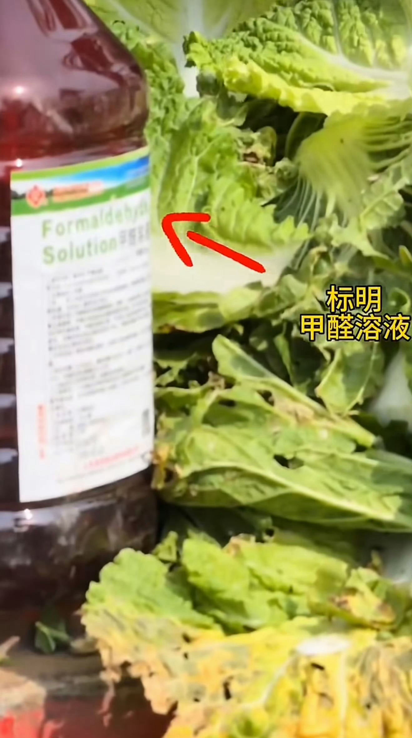 必须彻查多少甲醛白菜已流入市场真的非常讨厌在食品上搞事情的厂家，这可是进嘴的东西