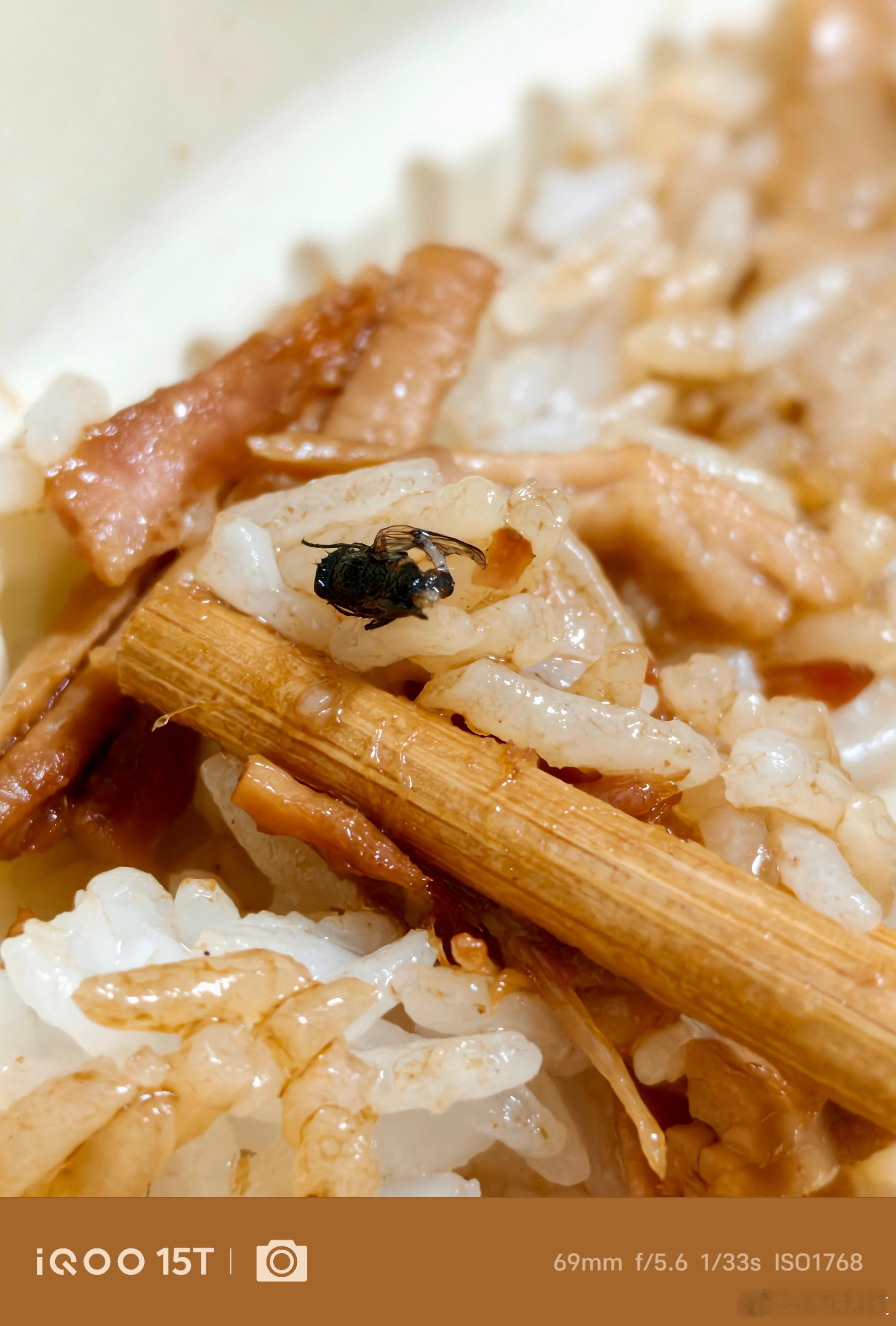 啊啊啊啊，我天塌了！！点了一份猪脚饭，竟然吃出了苍蝇！现在好想吐！🤢 ​​​