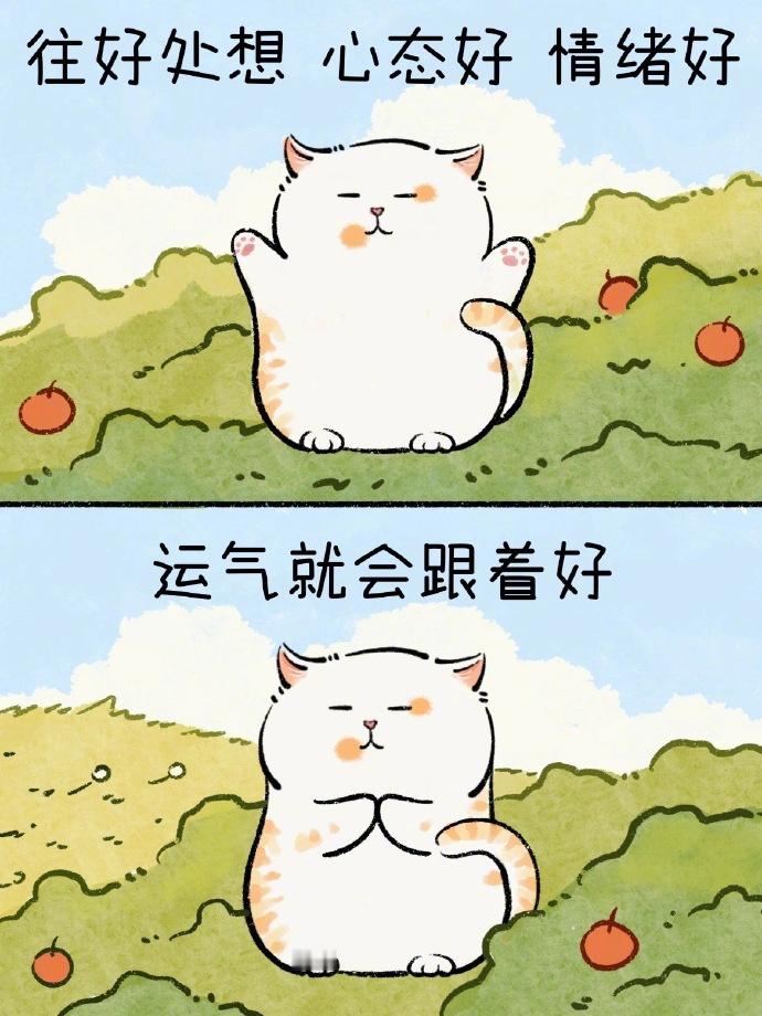🛫 🐏🩵🏞️“如果事与愿违，就相信上天一定另有安排。” ​​​