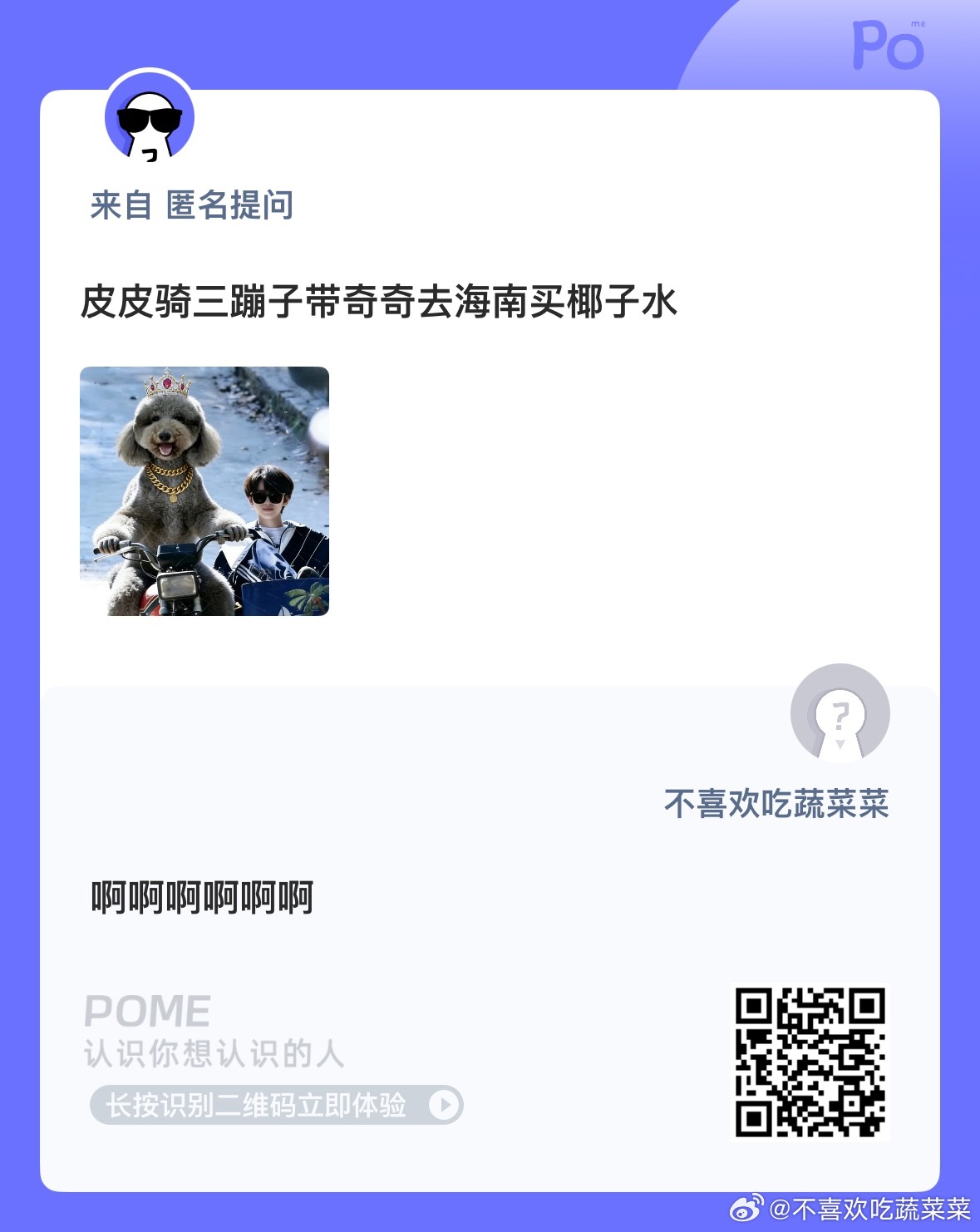 不要虐待皮皮啊