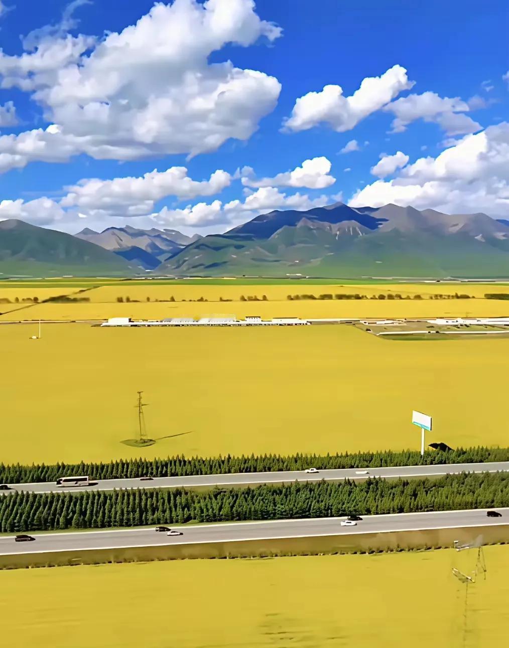 《高考之约》

高考的那天，阳光炽热得仿佛要把大地烤焦。教室里，晓妍紧张地握紧手