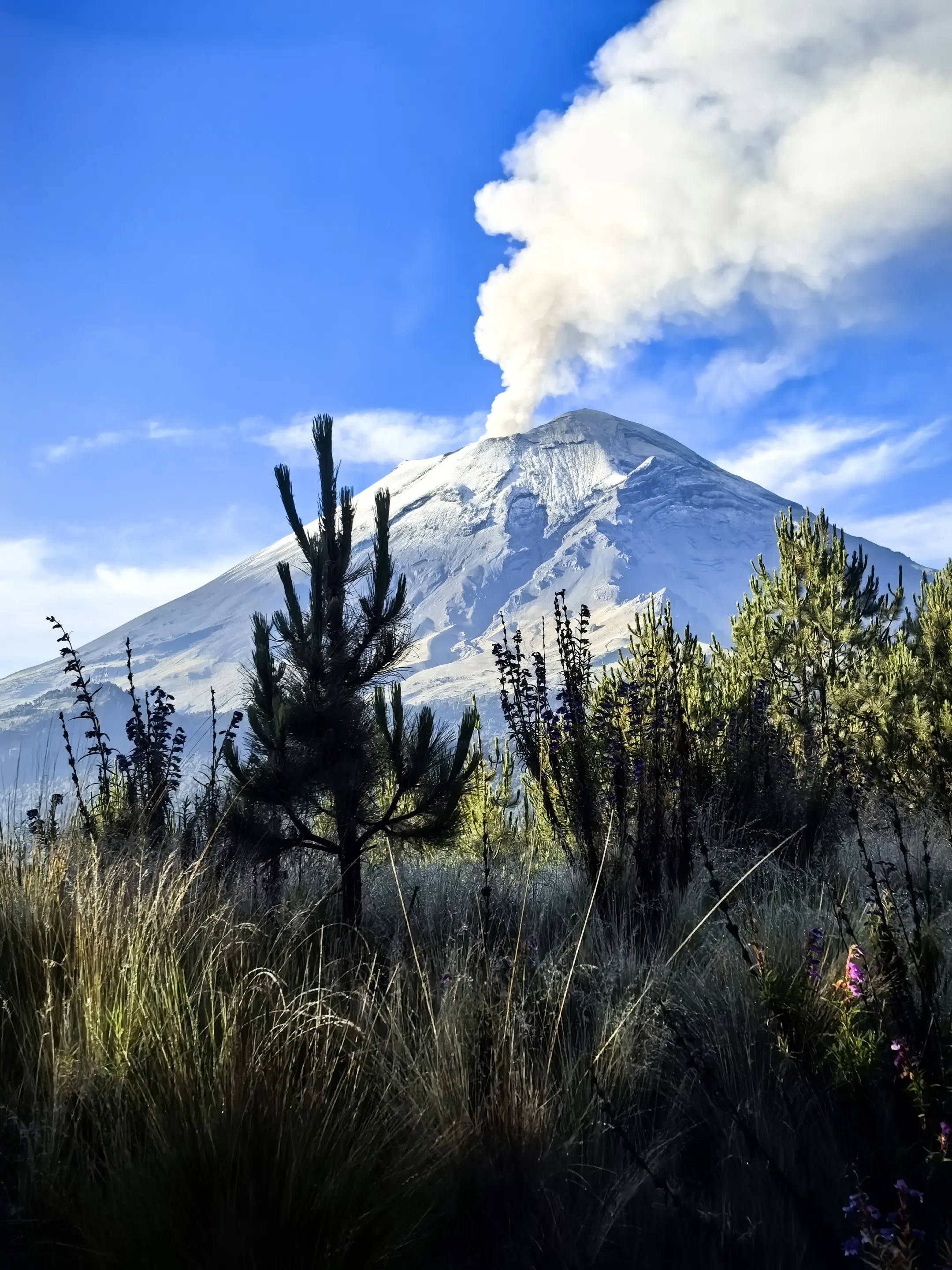 点亮Popocatépetl🌋