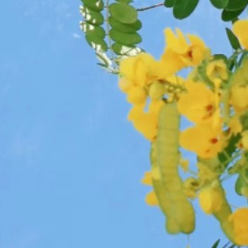 每日一善  ☀️ 每日一善  ☀️ 阳光信用 昨天的一切逐渐消失于光的指头和睡梦