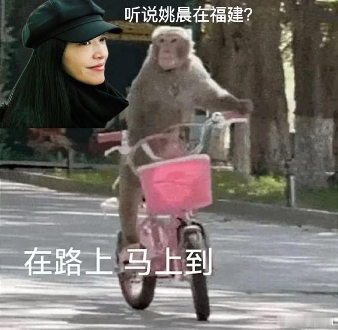 姚晨的微博让我见识到了福建过年的魅力，这快乐氛围，比上班香太多了！ 