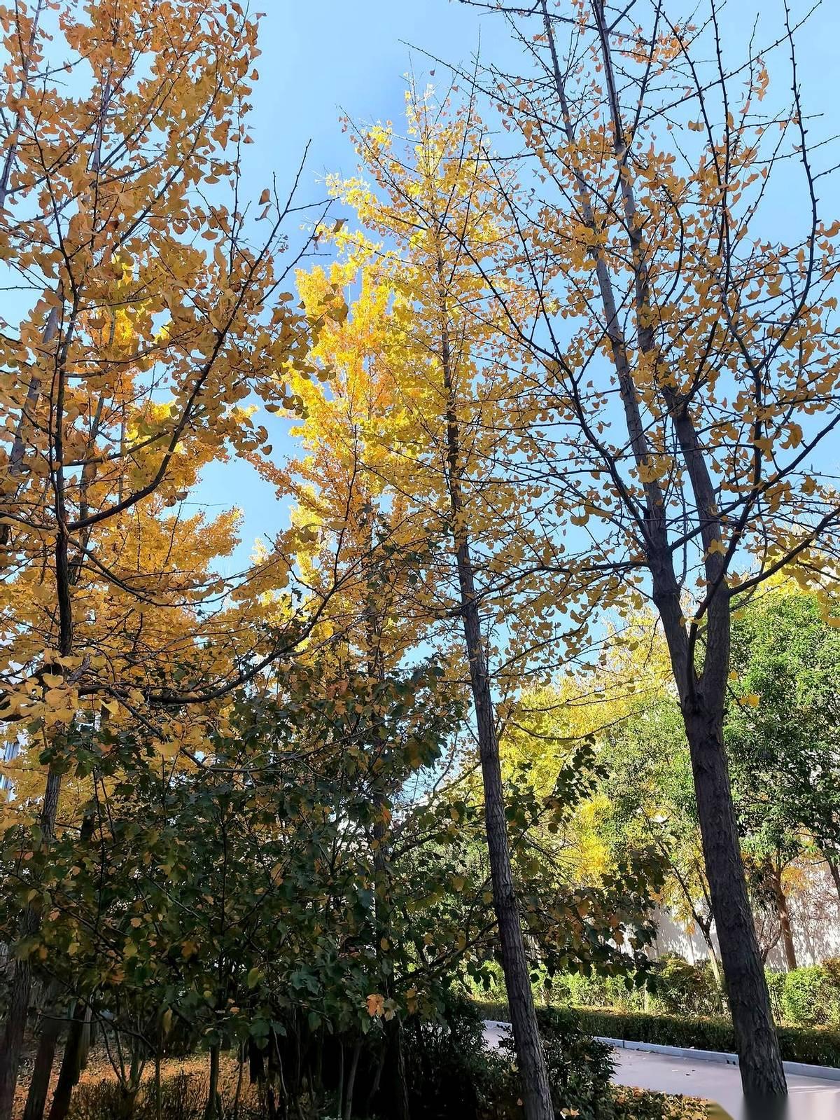 我就想问问，是不是我手机出毛病了？
怎么那笔该到账的取暖费，它就跟人间蒸发了一样