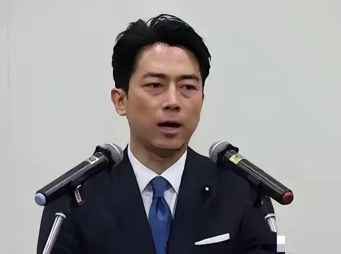 小泉现在陷入棘手的外交难题。日本公开附和南海仲裁十周年联合声明，裁决认定太平岛属