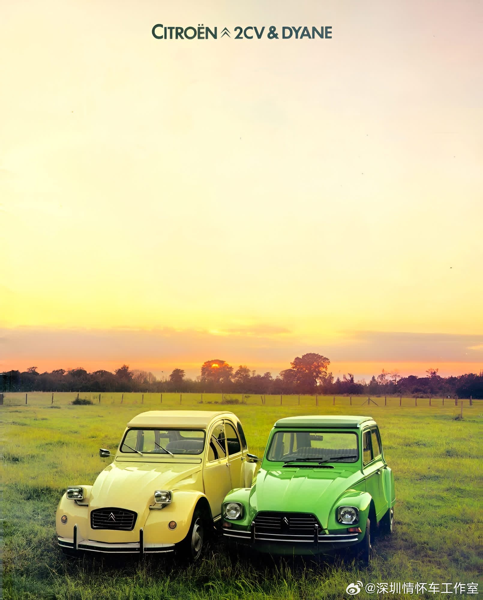 法国国民车，雪铁龙 2CV（1948–1990），Dyane是2CV的现代化升级