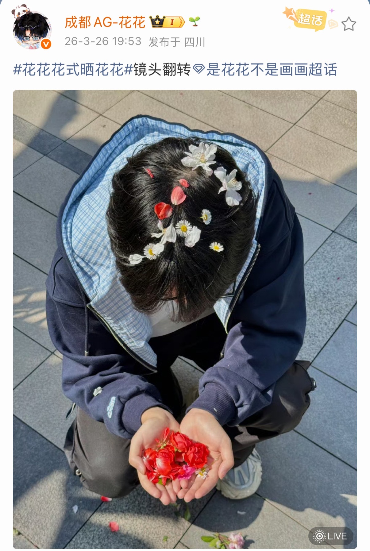 花花花式晒花花此花更萌！2026pel春季赛2026pel